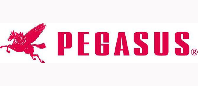 Pegasus